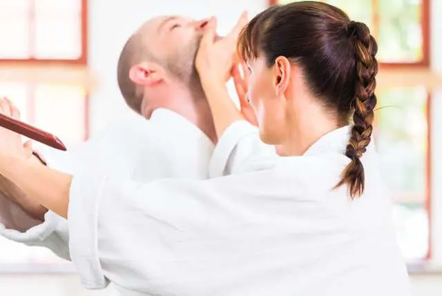 adult martial arts